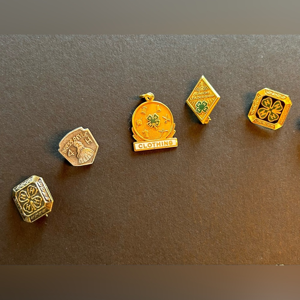 4H, academic pins- vintage. 4H pin Box - Picture 7 of 9